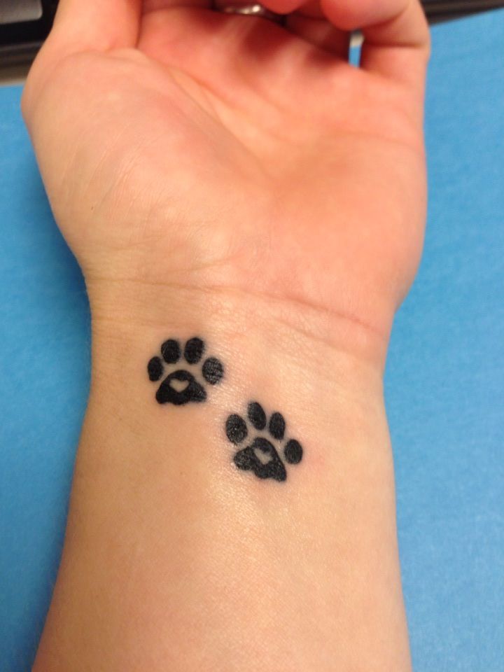 Black dog paw print