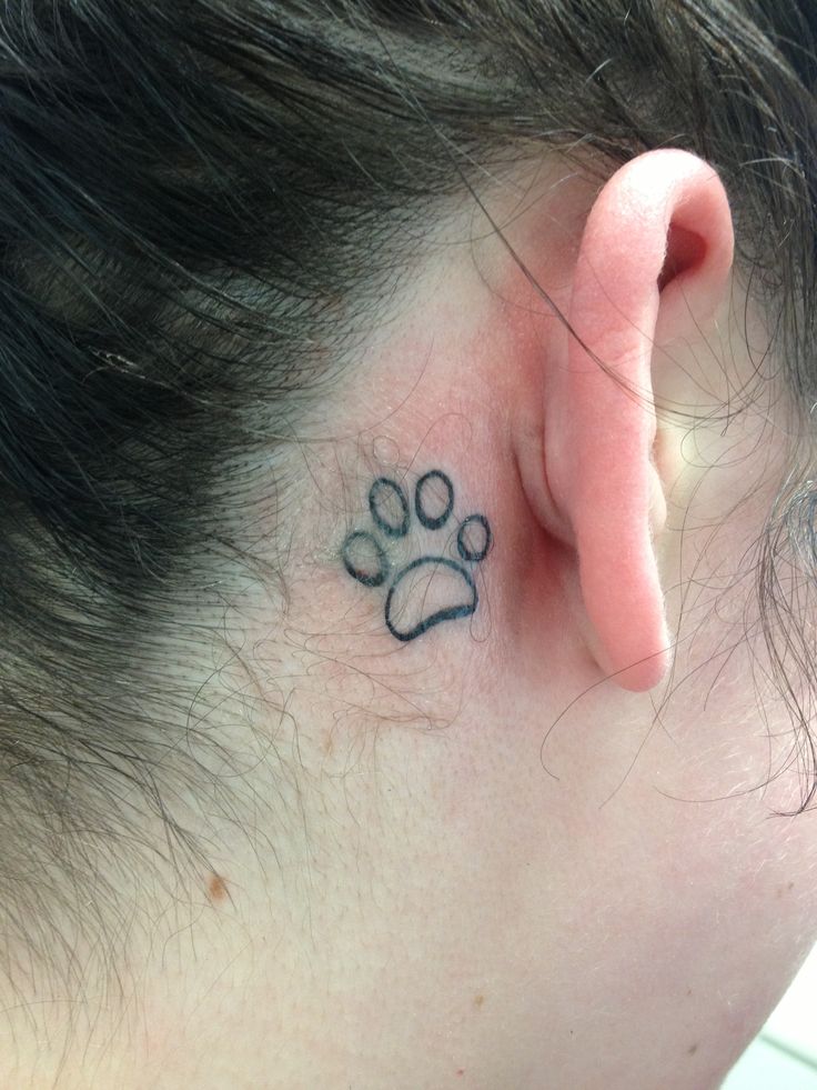Paw tattoo behind the ears