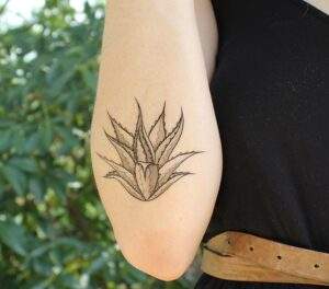 Agave Tattoo Meaning & Cool Designs