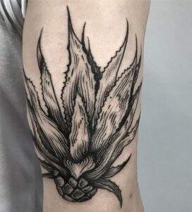 Agave Tattoo Meaning & Cool Designs