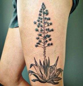 Agave Tattoo Meaning & Cool Designs