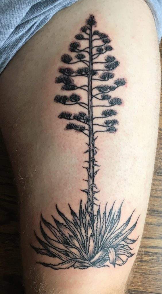 Agave Tattoo Meaning & Cool Designs