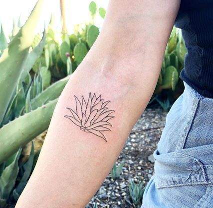 Agave Tattoo Meaning & Cool Designs