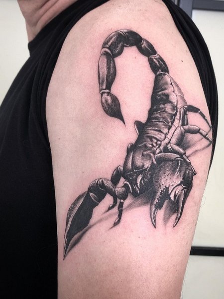 Scorpion Half Sleeve Tattoo