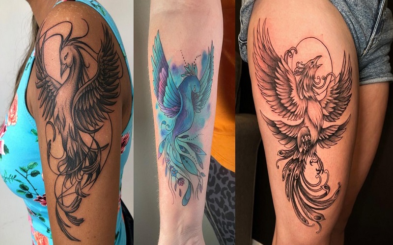 Phoenix Tattoos