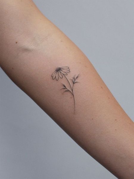 Arm Daisy Tattoo