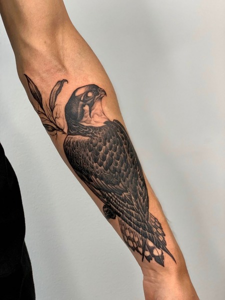 Arm Hawk Tattoos