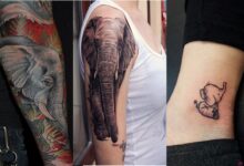 Best Elephant Tattoo Designs