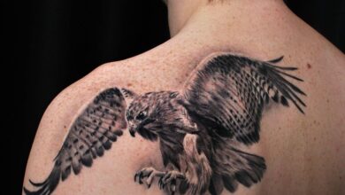 Best Hawk Tattoo Designs