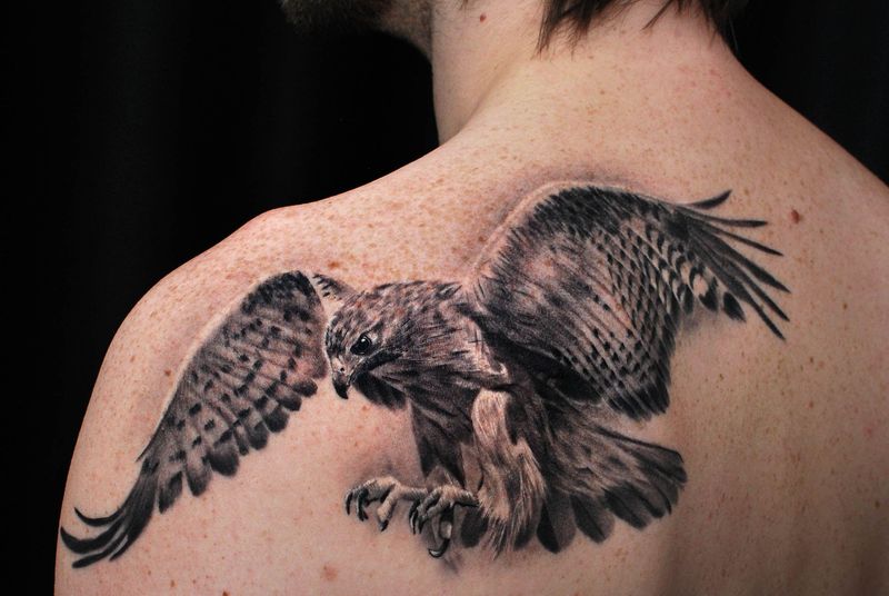 Best Hawk Tattoo Designs