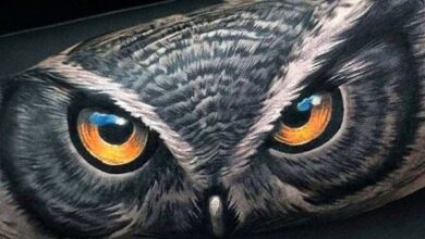 Best Owl Tattoos