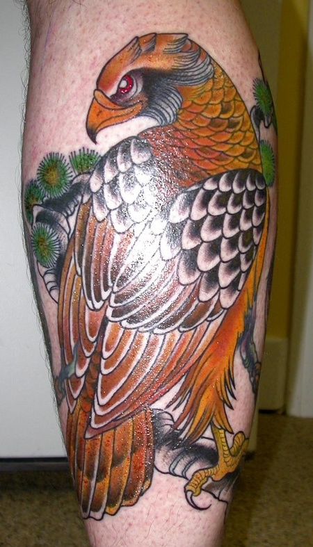 Colorful Hawk Tattoos