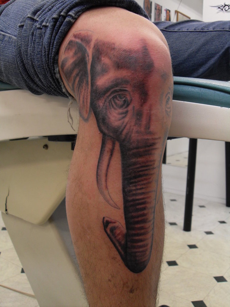 Elephant Knee Tattoo