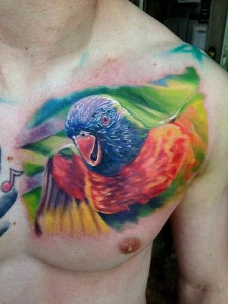 Parrot Chest Tattoos