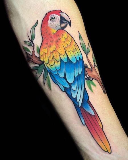 Parrot Forearm Tattoos