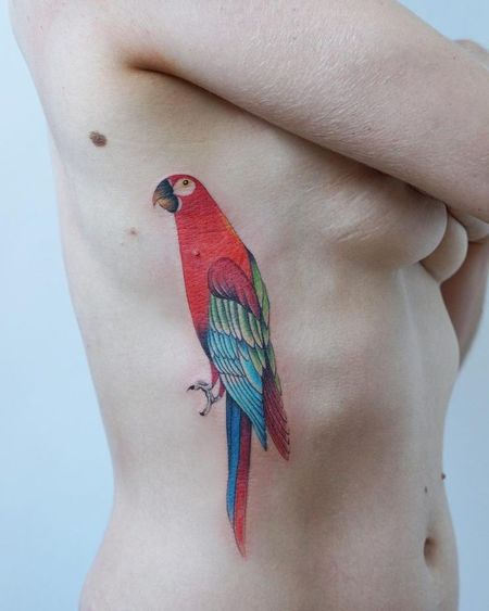 Parrot Rib Tattoos