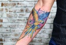Parrot Tattoos with Meanings