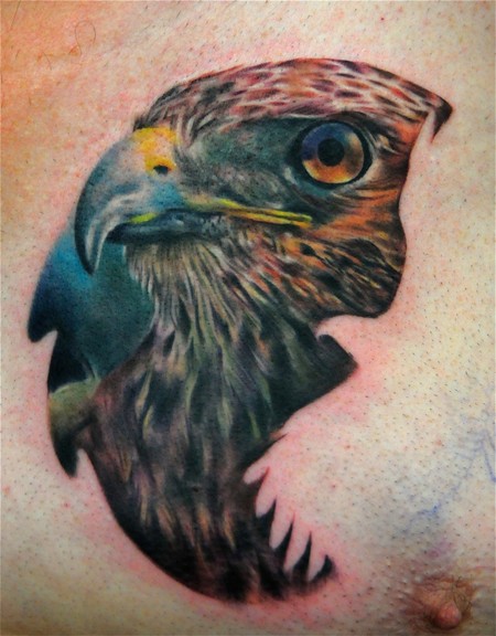 Realistic Hawk Tattoos