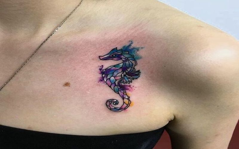 Seahorse Tattoos