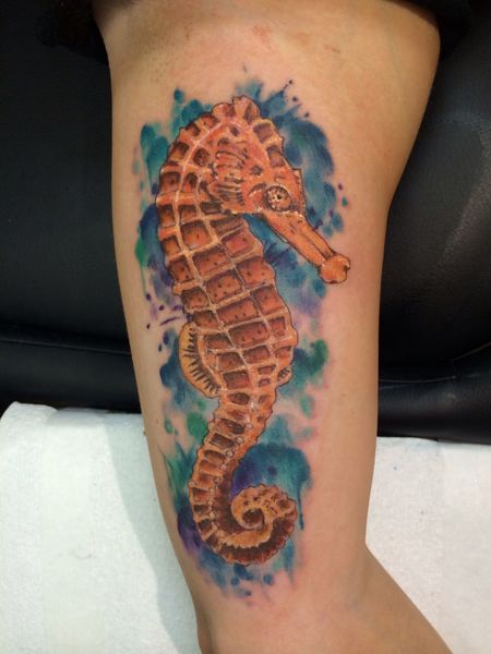 Sleeve Seahorse Tattoo