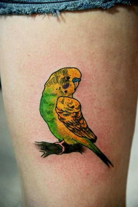 Small Parrot Tattoos