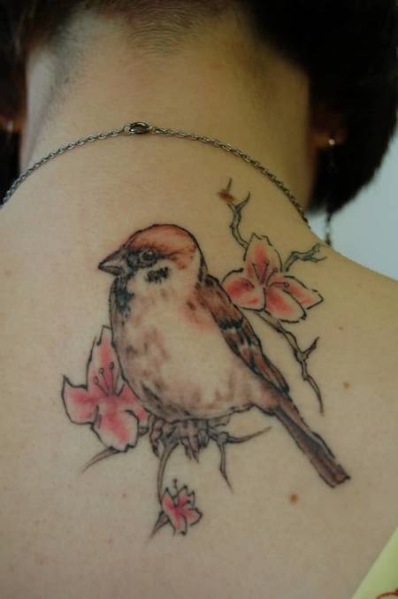 Sparrow Back Tattoos