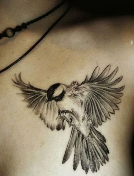 Sparrow Chest Tattoos
