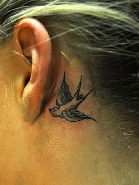 Swallow Behind The Ear Tattoo