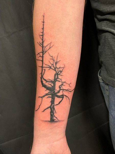 Dead Tree Tattoo