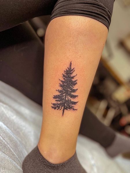 Evergreen Tree Tattoo