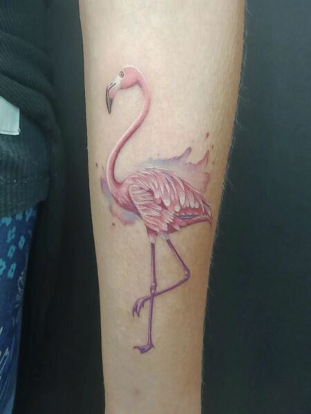 Flamingo Tattoo