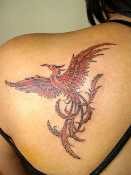 Flying Phoenix Tattoo