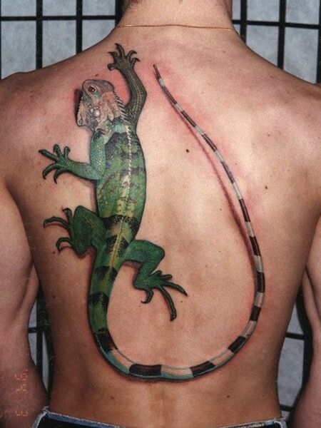 Lizard Tattoo