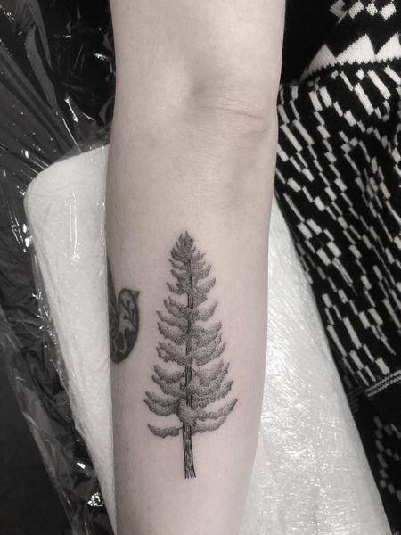 Pine Tree Tattoo