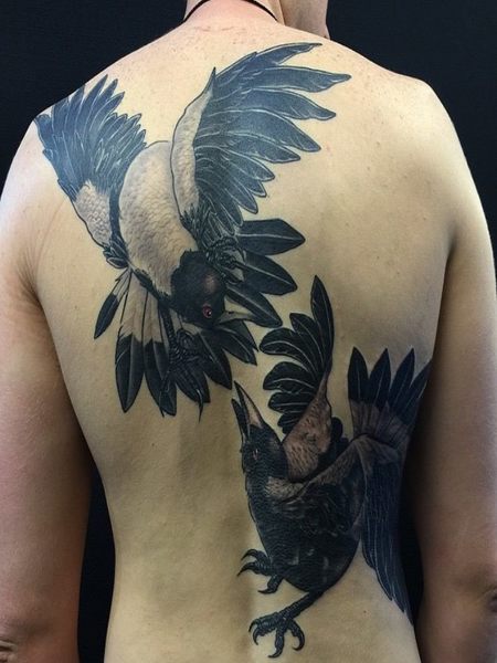 Realistic Magpie Tattoo