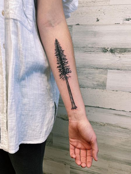 Redwood Tree Tattoo