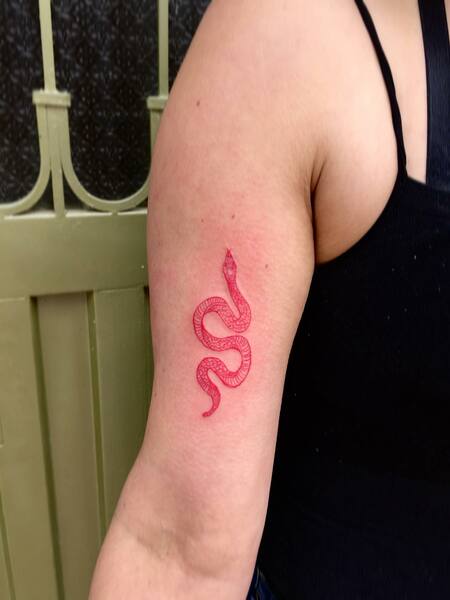 Snake Arm Tattoo 1