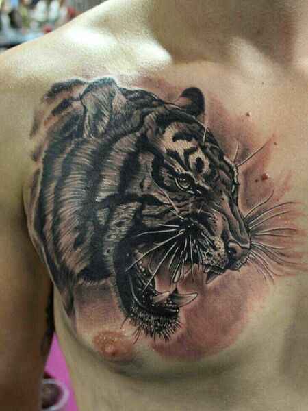 Tiger Chest Tattoo