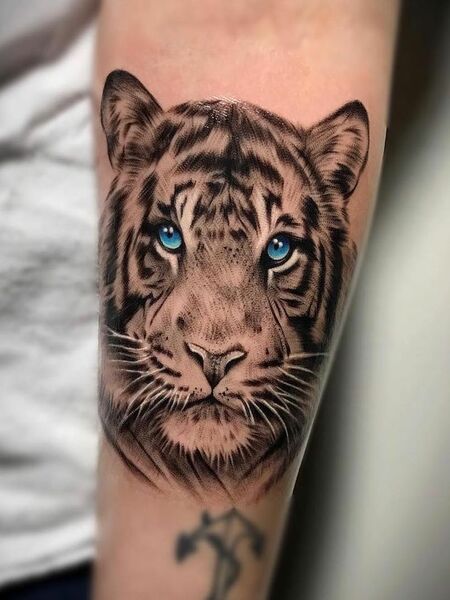 Tiger Tattoo