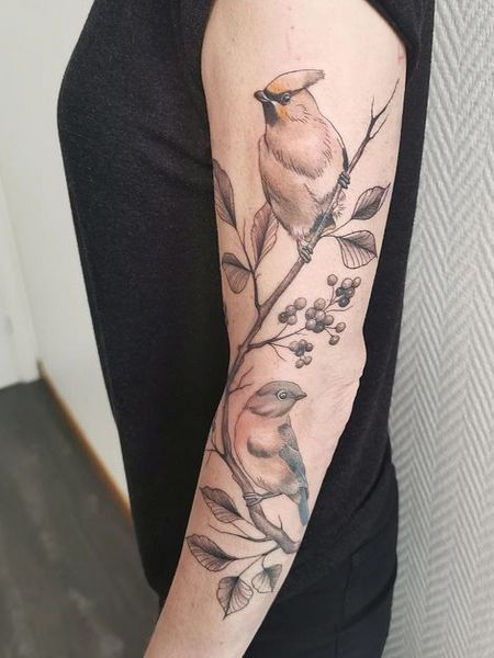 Bird Tattoo On Arm