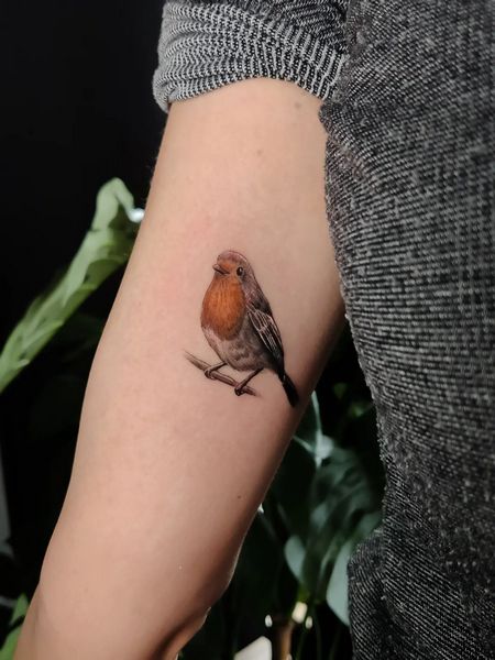 Robin Bird Tattoo