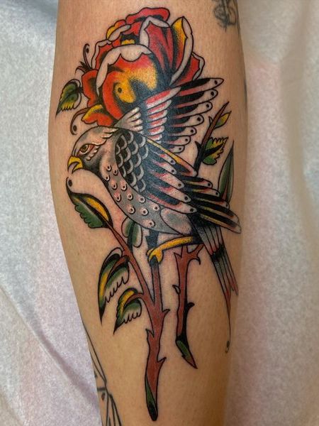 Traditional Bird Tattoo