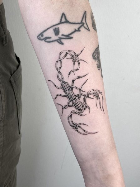 Barbed Wire Scorpion Tattoo