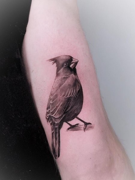 Black Cardinal Tattoo