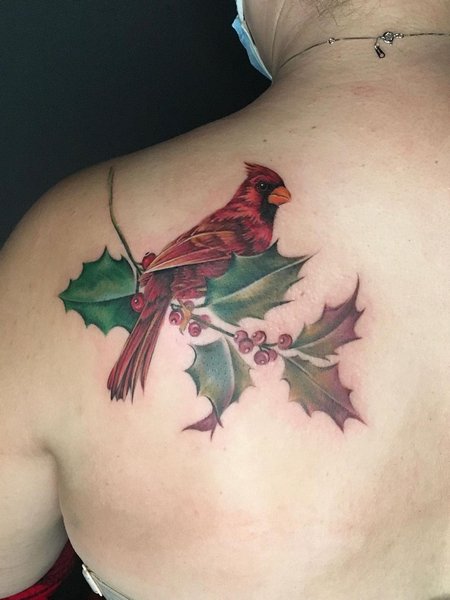 Cardinal Tattoo On Back