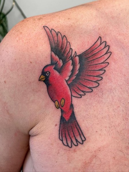 Cardinal Tattoo On Chest