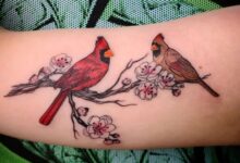 Cardinal Tattoos