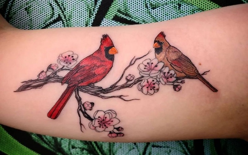 Cardinal Tattoos