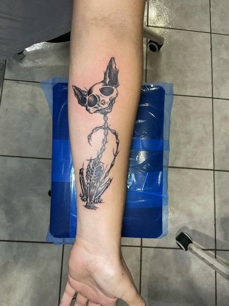 Cat Skull Tattoo