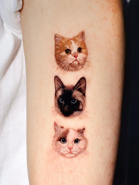 Cat Tattoo Ideas